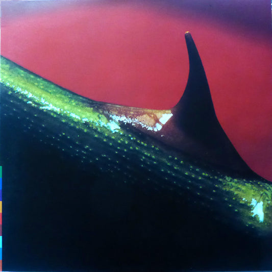 Nusrat Fateh Ali Khan & Michael Brook – Night Song