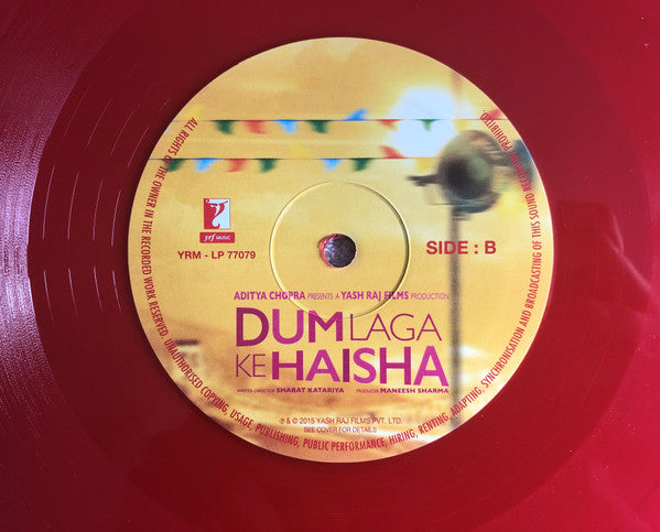 Dum Laga Ke Haisha (Love Comes In All Sizes)